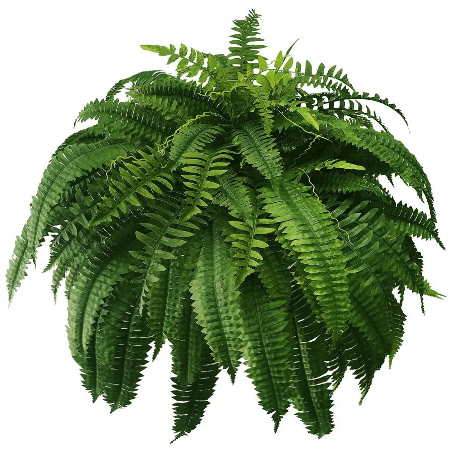 Last Day 80% OFF--UV Resistant Lifelike Artificial Boston Fernš