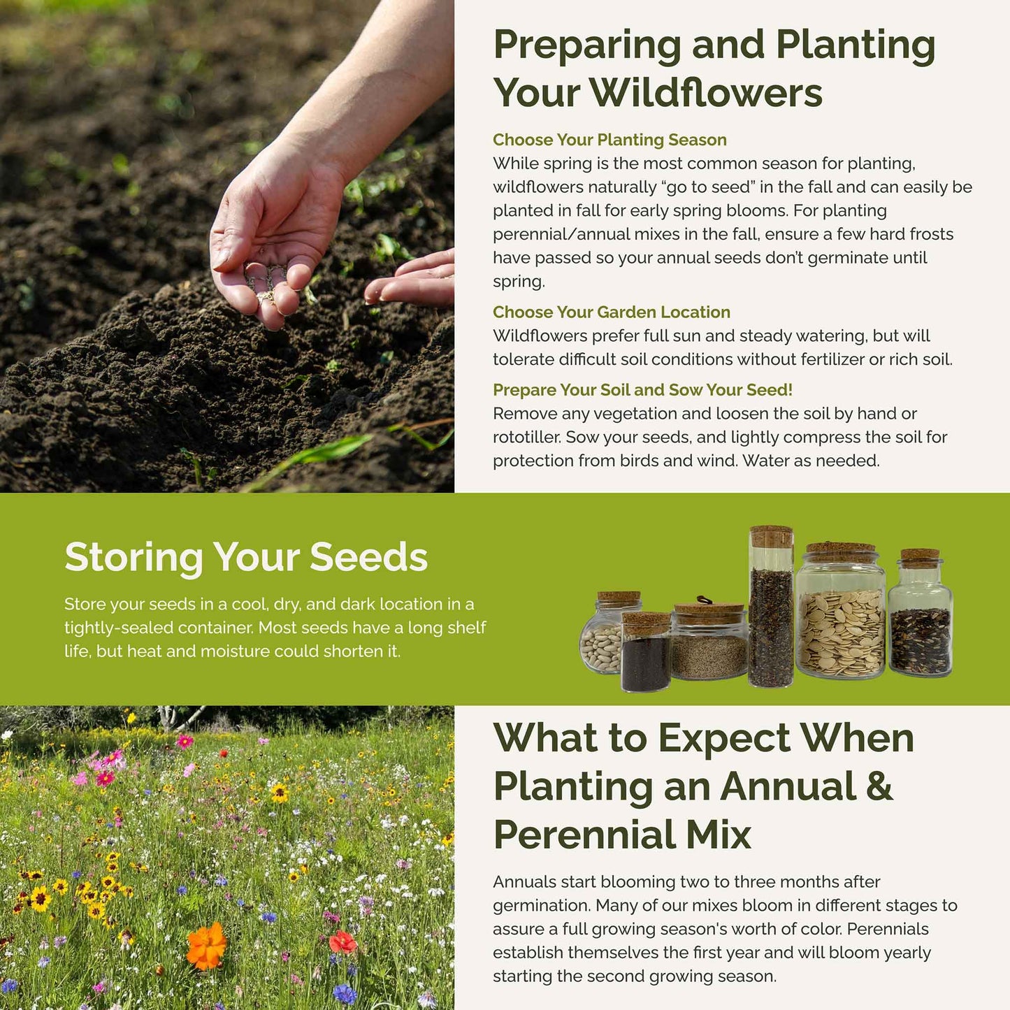 Alabama Wildflower Seed Mix