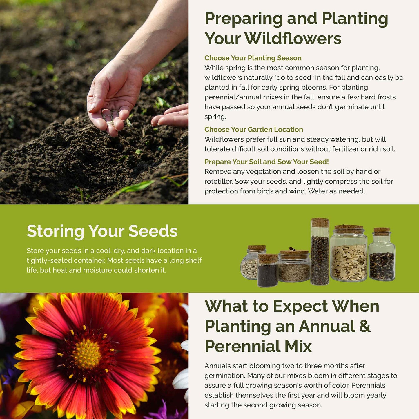 Nevada Wildflower Seed Mix