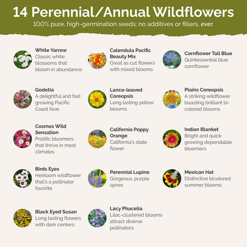 North Dakota Wildflower Seed Mix