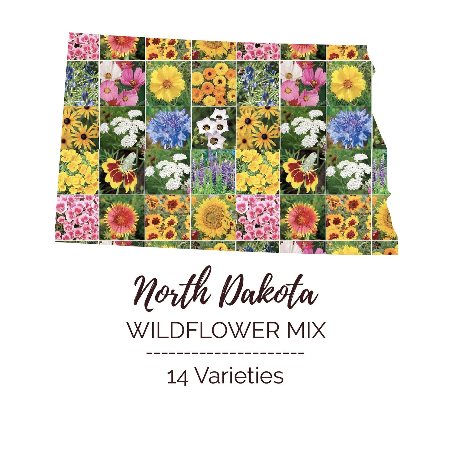 North Dakota Wildflower Seed Mix