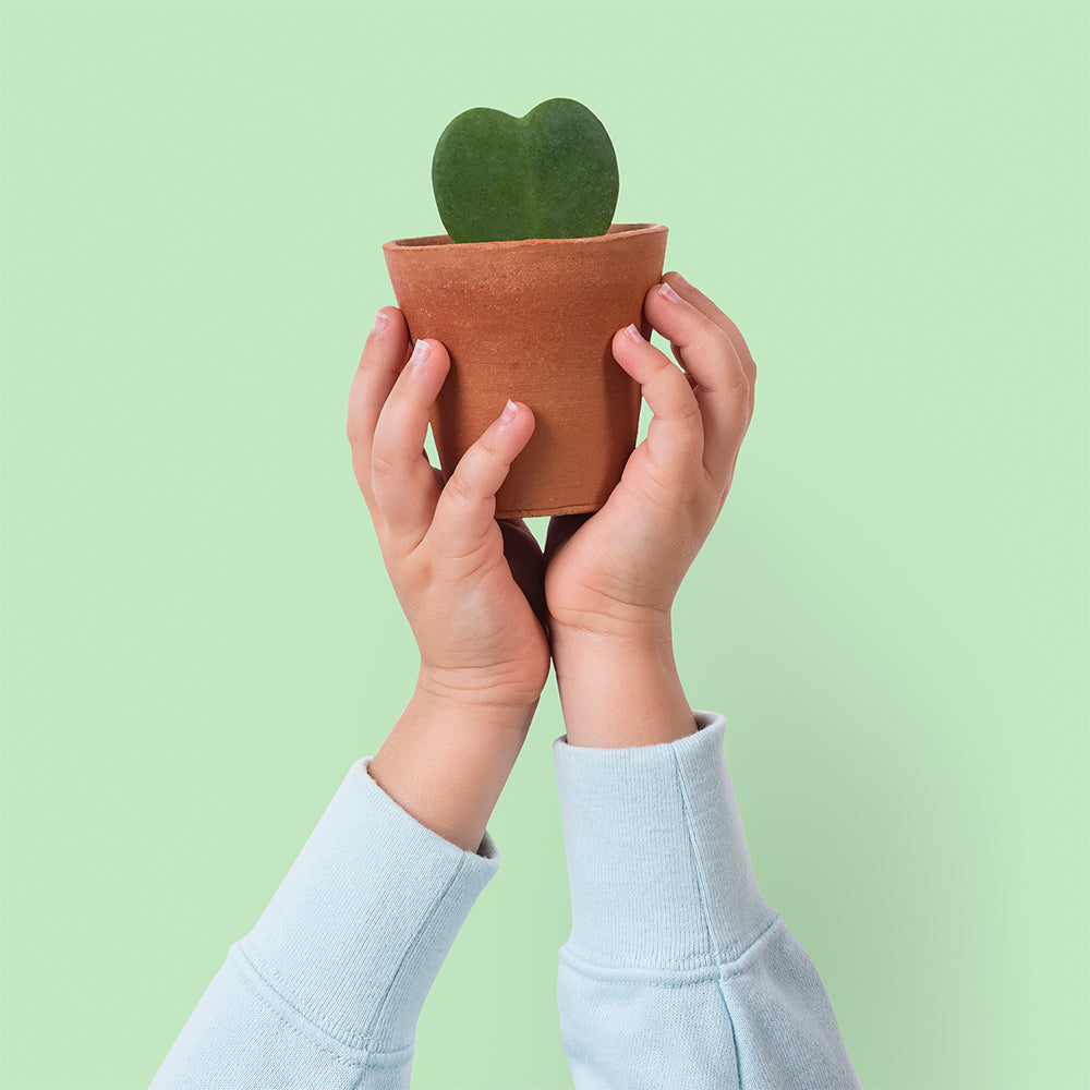 Fairy Garden Mini Pots