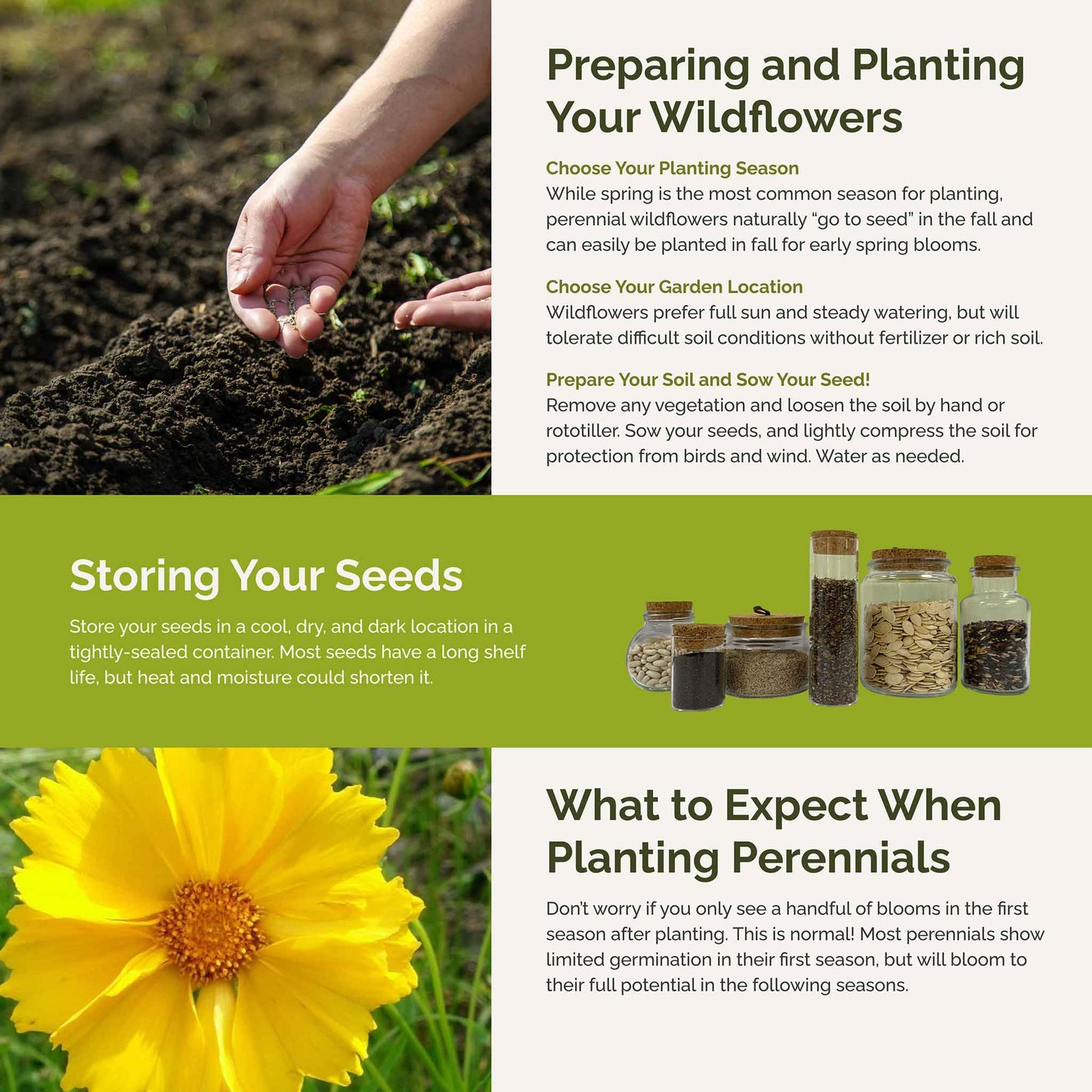 Rock Garden Perennial Wildflower Seed Mix