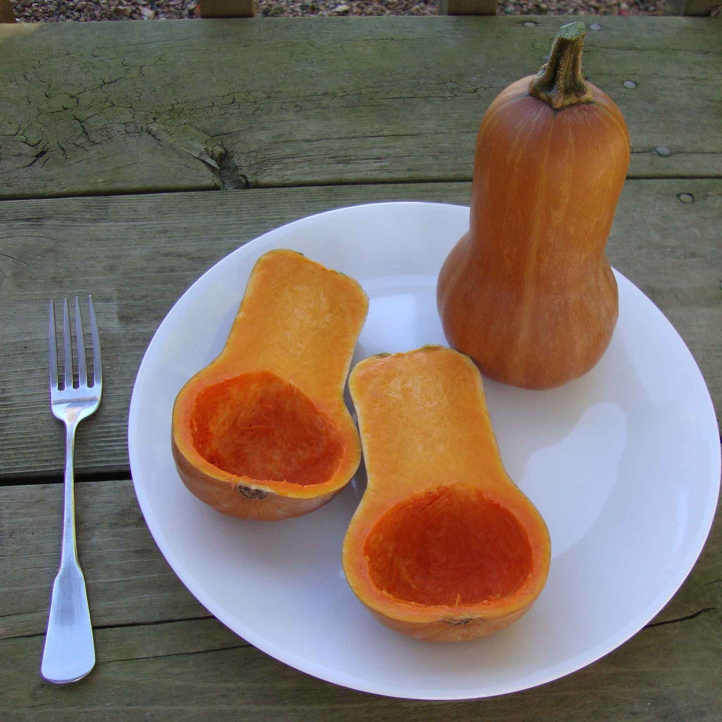 Squash Seeds (Winter) - Butterbaby