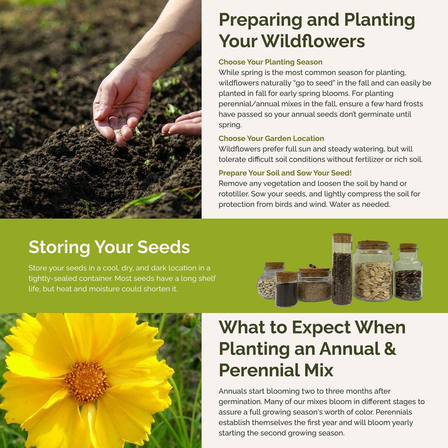 Wisconsin Wildflower Seed Mix