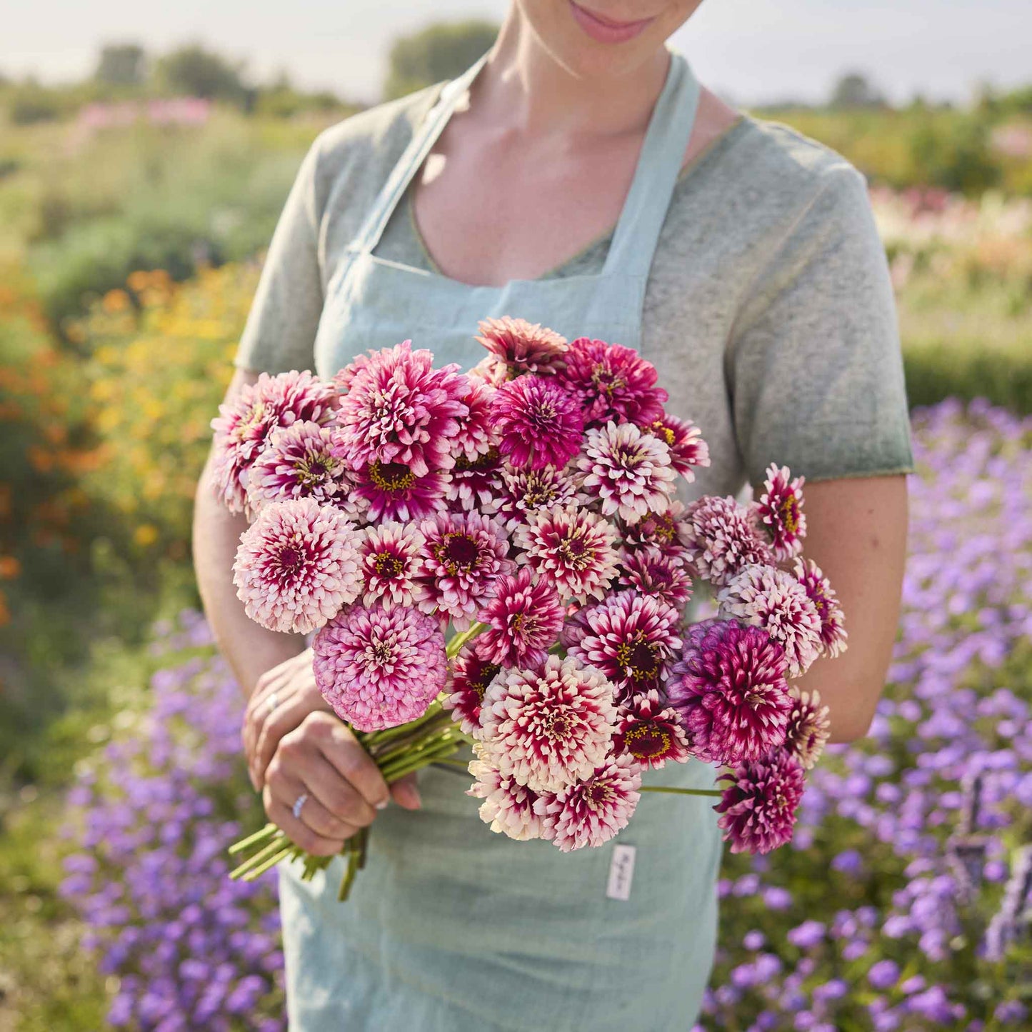 Zinnia Seeds - Mazurkia