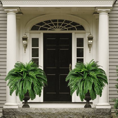 Last Day 80% OFF--UV Resistant Lifelike Artificial Boston Fern🍀