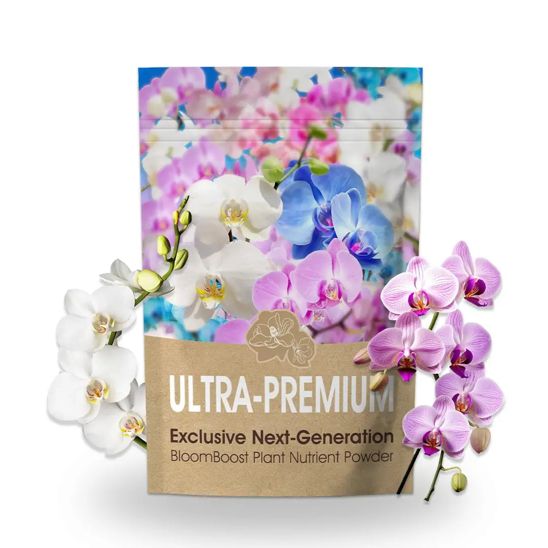 Last Day Discount：50% 🌸 Exclusive Next-Generation BloomBoost Plant Nutrient Powder – A rare breakthrough in the cultivation of flowering plants🌸