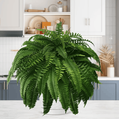 Last Day 80% OFF--UV Resistant Lifelike Artificial Boston Fern🍀