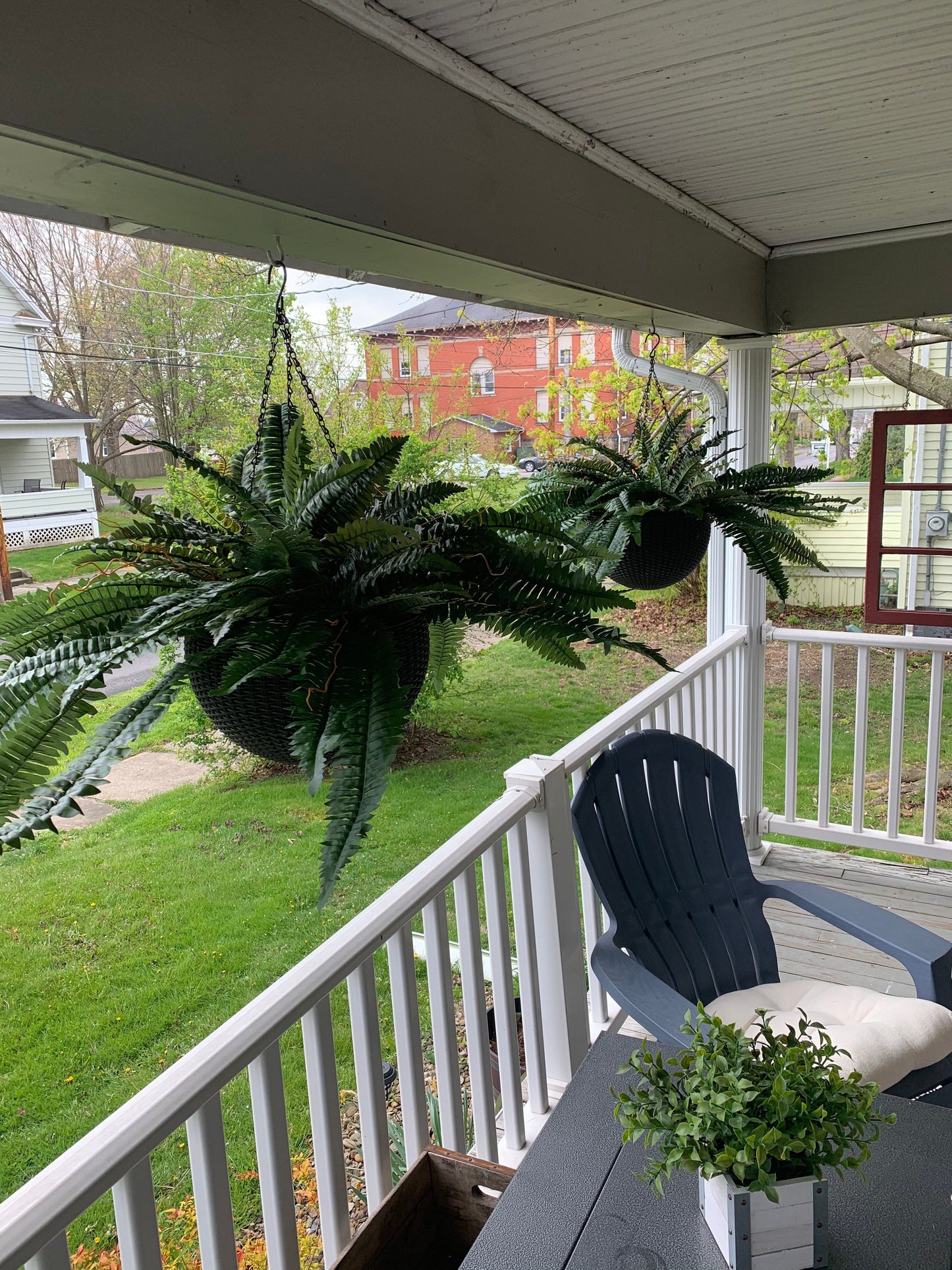 Last Day 80% OFF--UV Resistant Lifelike Artificial Boston Fern🍀