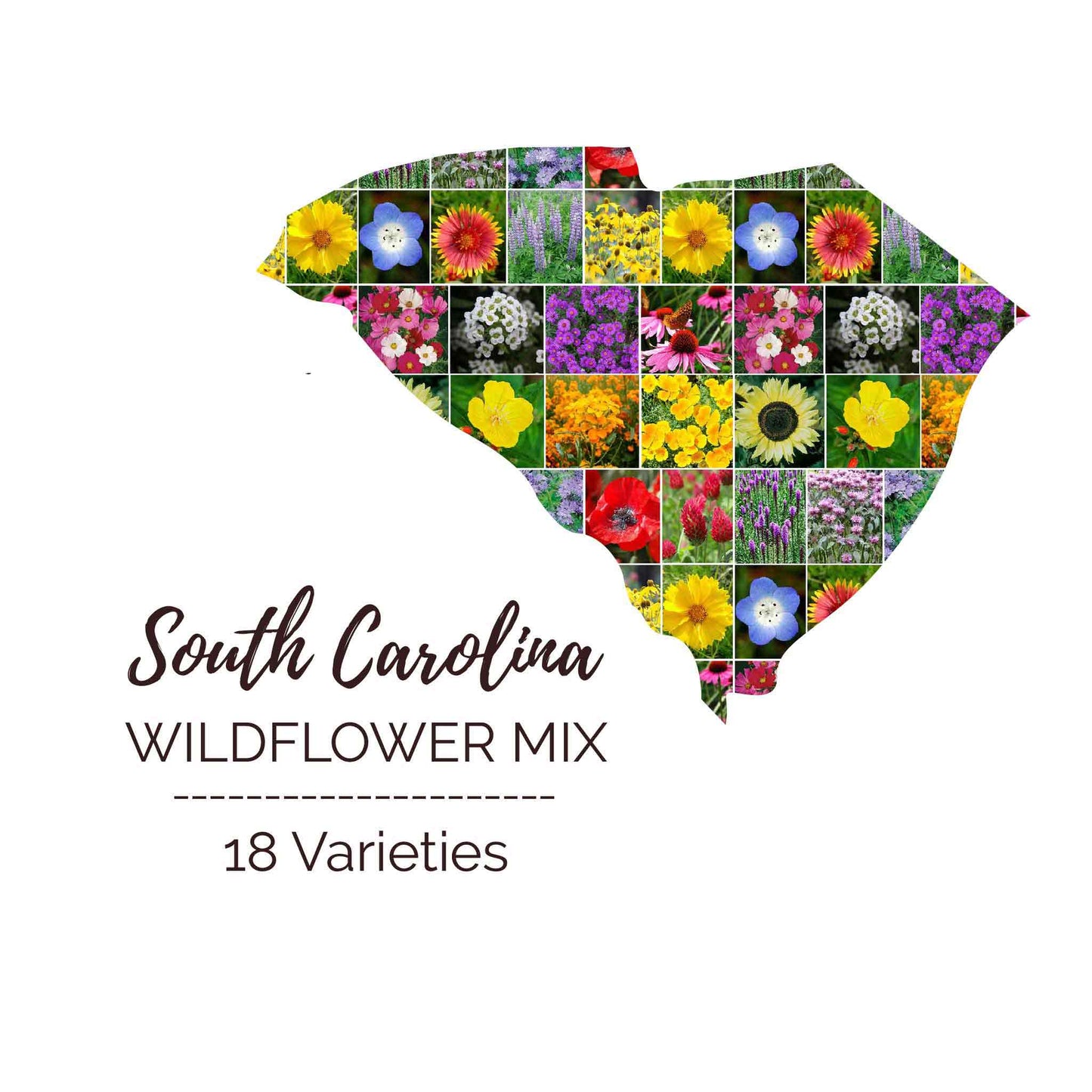 South Carolina Wildflower Seed Mix