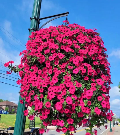 Last Day 50% OFF--💎UV Simulation Artificial flower