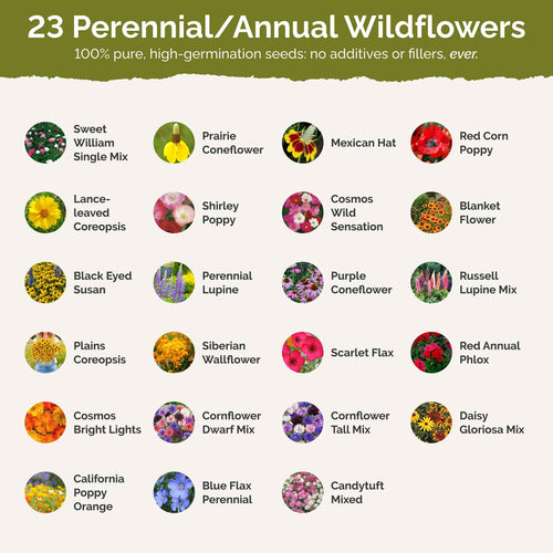 Iowa Wildflower Seed Mix