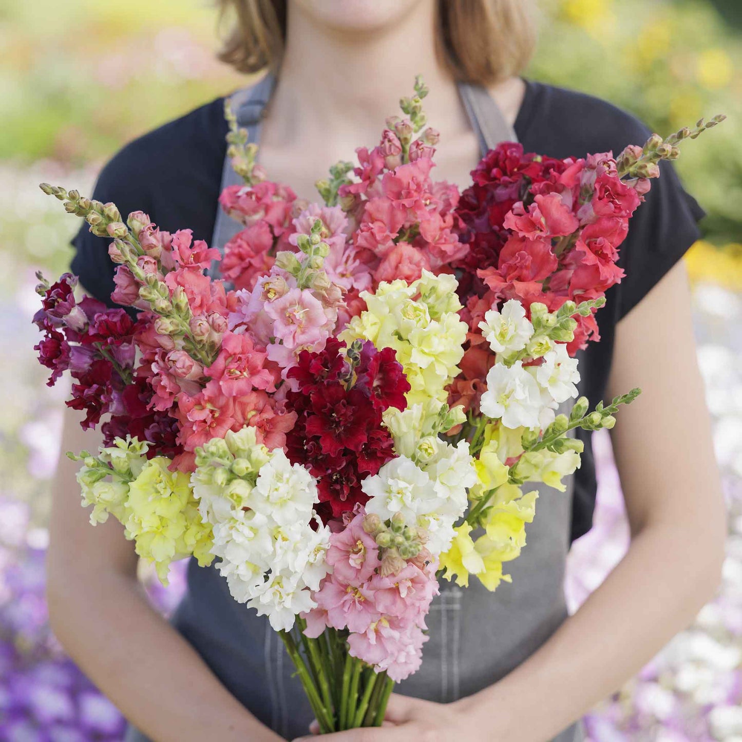 Snapdragon Seeds - Madame Butterfly Mix