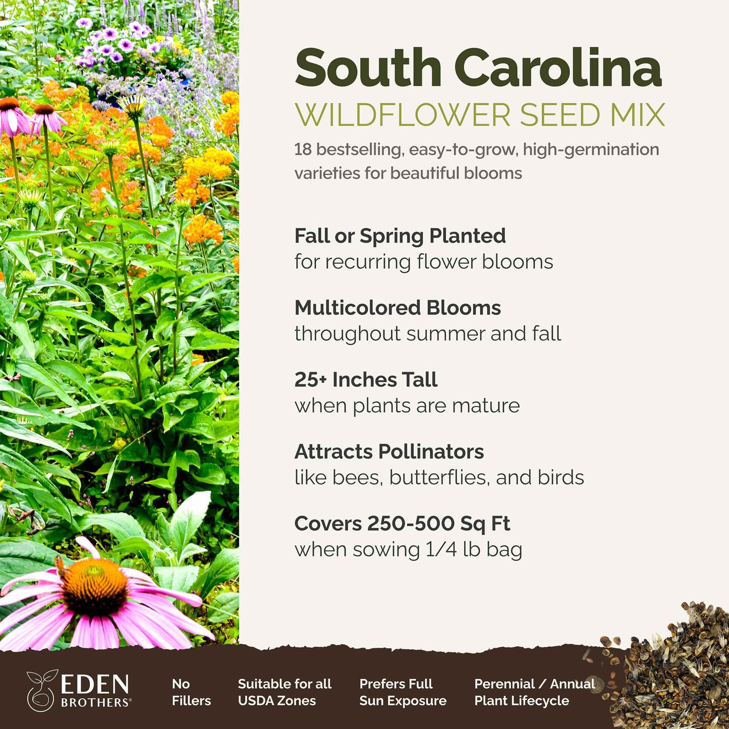 South Carolina Wildflower Seed Mix