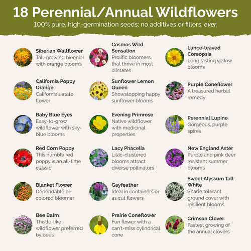 South Carolina Wildflower Seed Mix