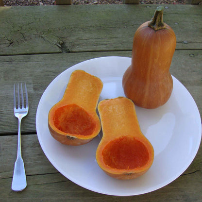 Squash Seeds (Winter) - Butterbaby