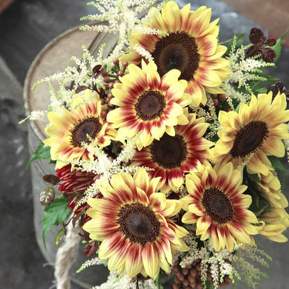 Sunflower Seeds - Marley