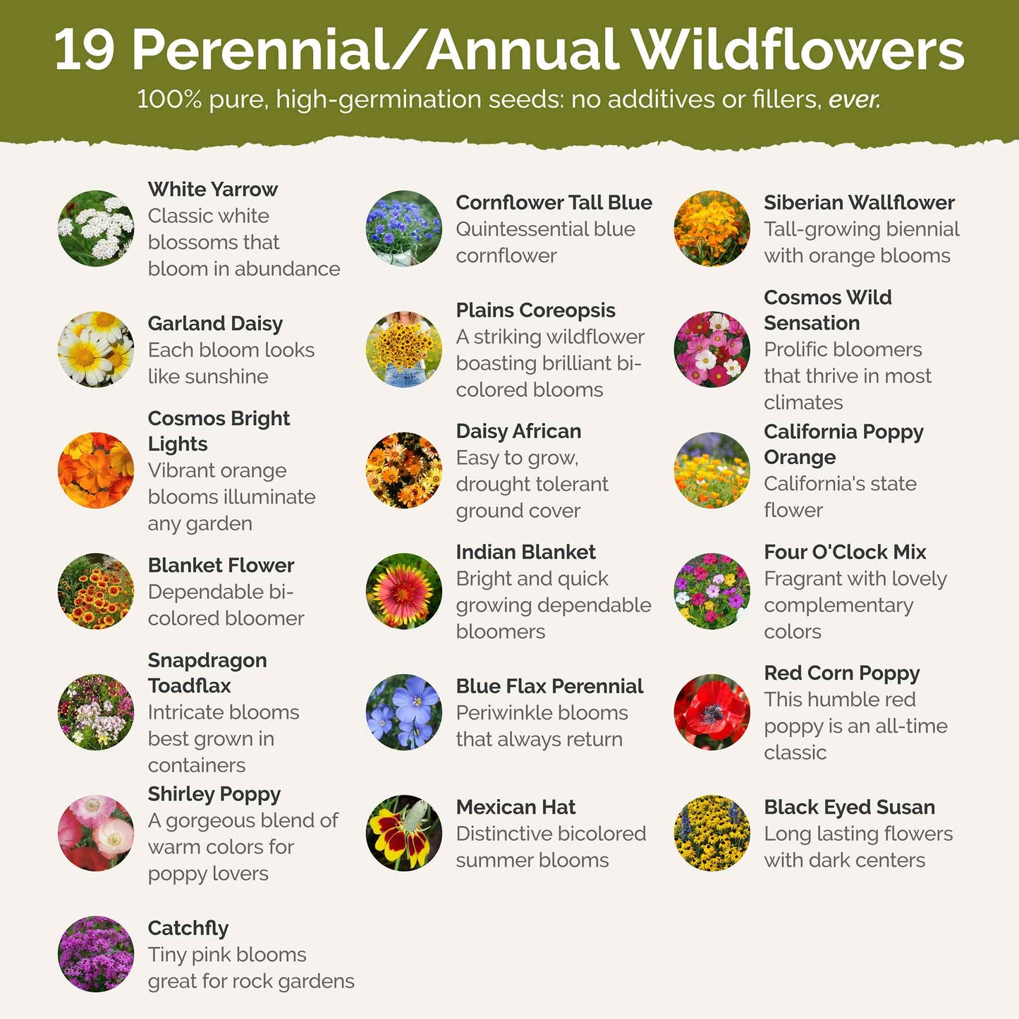 Utah Wildflower Seed Mix