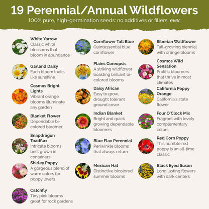 Utah Wildflower Seed Mix